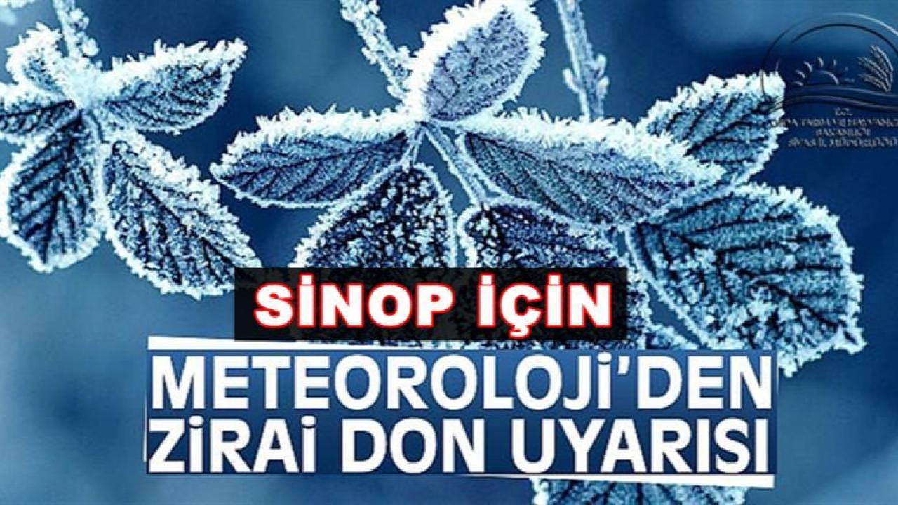 Sinop'ta Don riski Cumartesi gününe kadar sürecek!